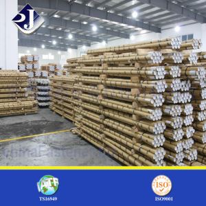 Parafusos, revestimento de zinco branco, M10, 2,0 m de comprimento, venda quente na Rússia 